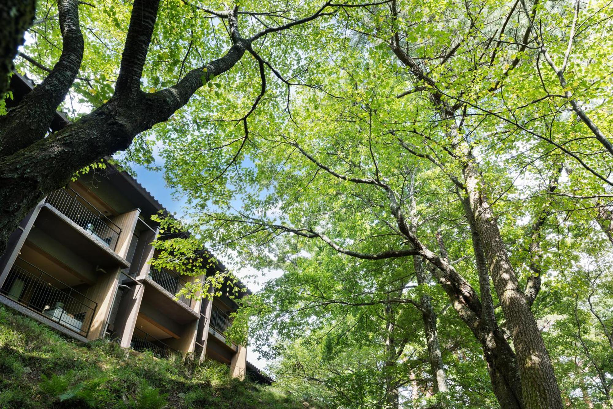 ホテル ラフォーレ修善寺 山紫水明 伊豆市 エクステリア 写真