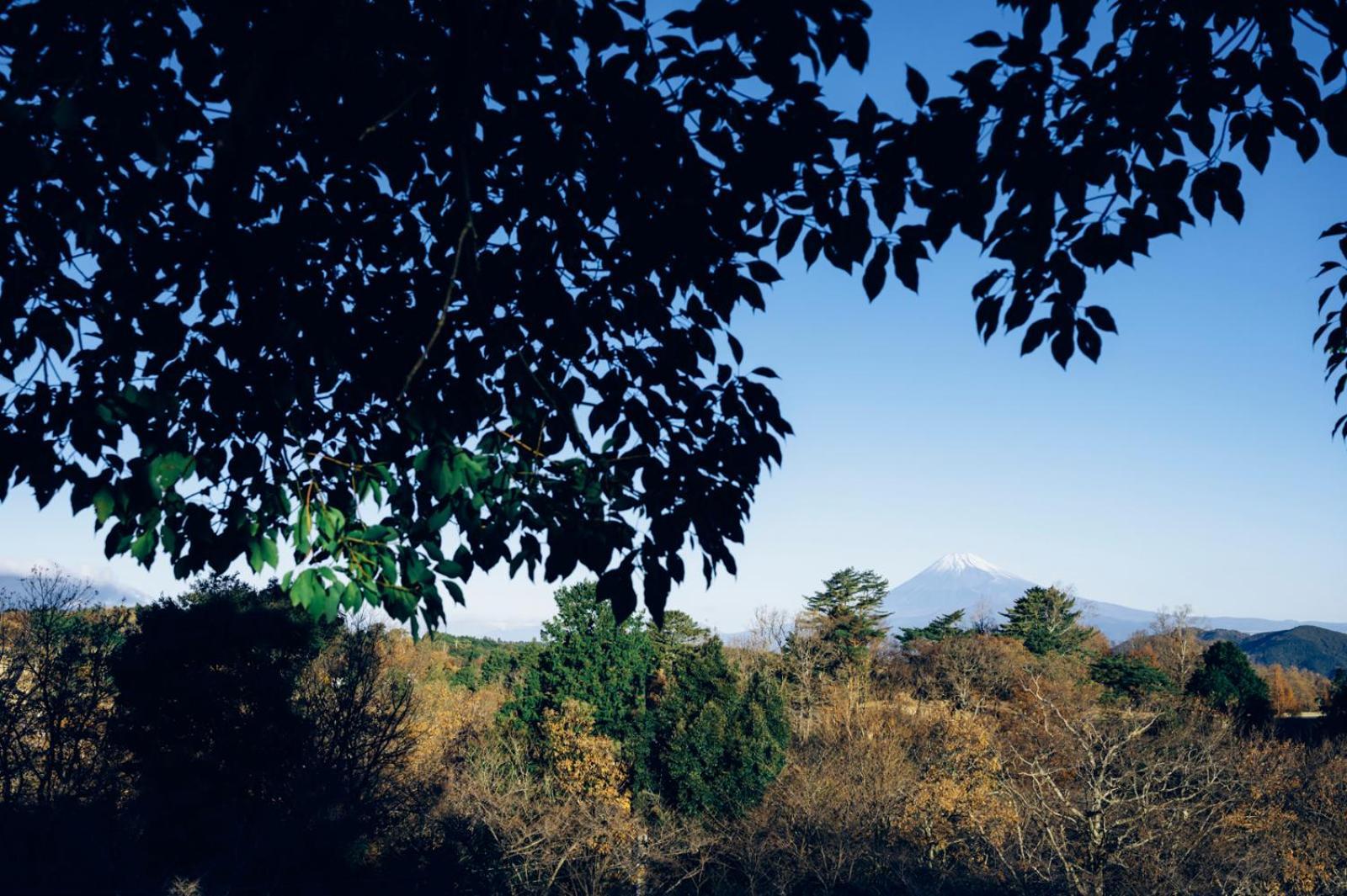 ホテル ラフォーレ修善寺 山紫水明 伊豆市 エクステリア 写真