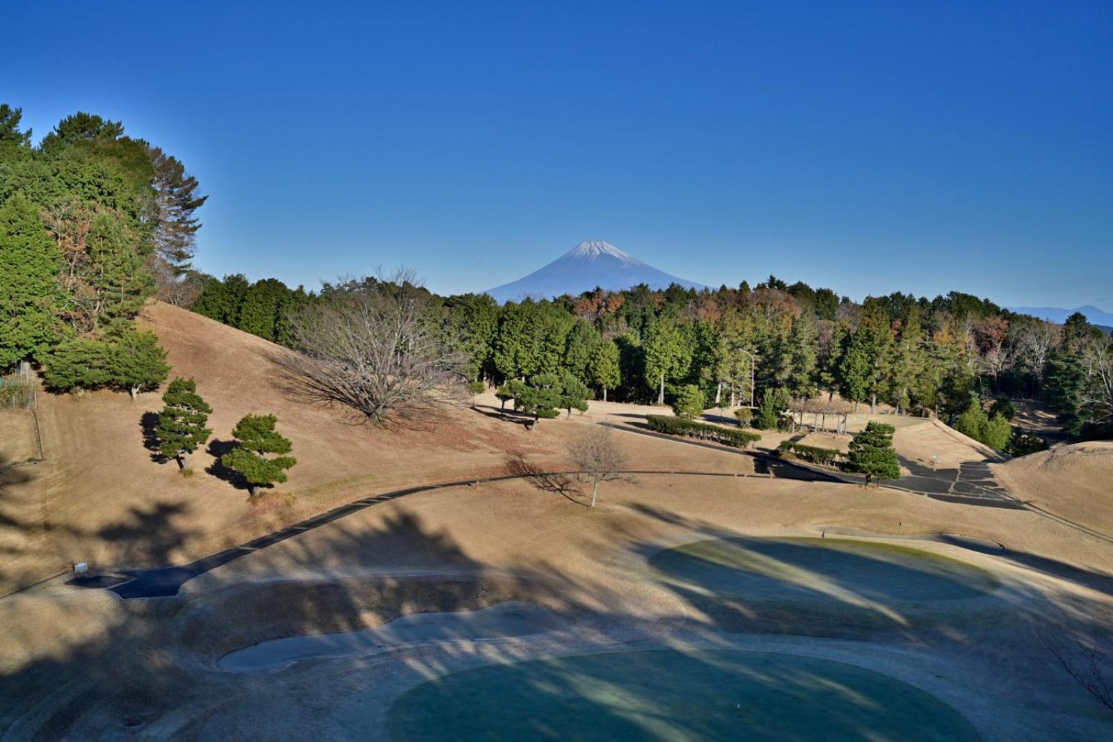 ホテル ラフォーレ修善寺 山紫水明 伊豆市 エクステリア 写真